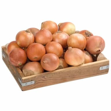 kuru soğan - 1.9 usd