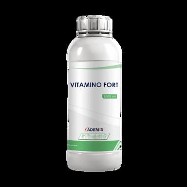 vitamino fort -  usd