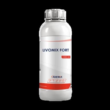 livomix fort -  usd