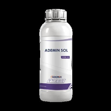 ademin sol -  usd