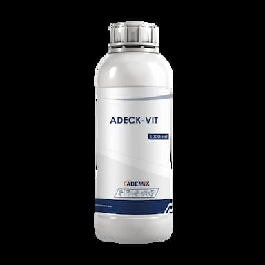 adeck-vit -  usd