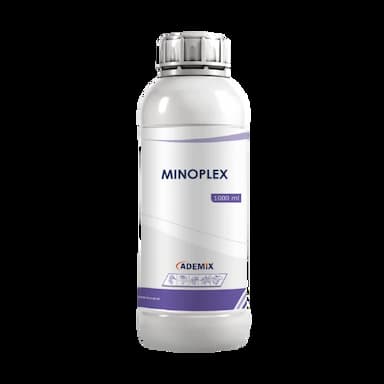 minoplex -  usd