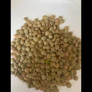 yeşil mercimek(green lentils) - 0.01 usd