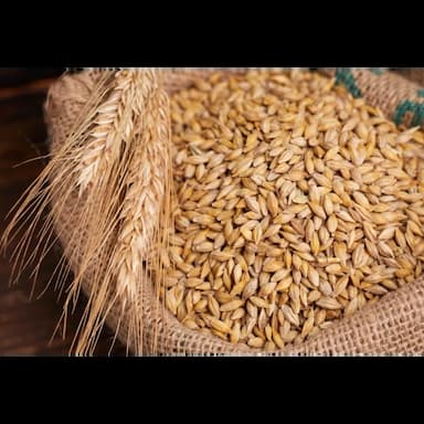 durum buğdayı, birinci tip -  usd